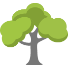 Hickory Tree Trimming Service