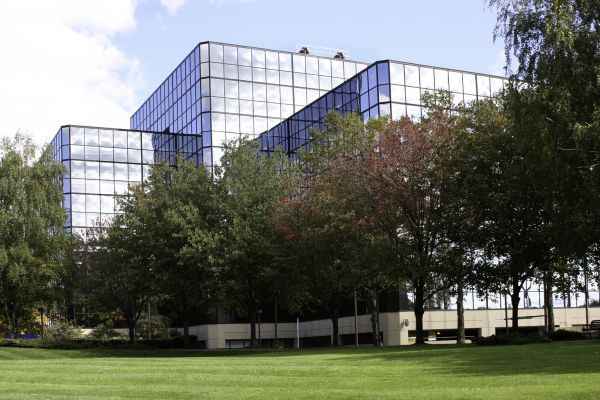Cost of Commercial Tree Trimming in Hickory